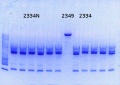 Thumbnail for version as of 13:28, 3 October 2014
