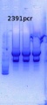 Thumbnail for version as of 14:27, 26 December 2014