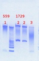 Thumbnail for version as of 13:08, 8 May 2013