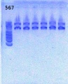 Thumbnail for version as of 11:22, 30 April 2013