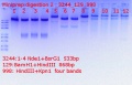 Thumbnail for version as of 14:26, 1 August 2018