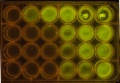 Thumbnail for version as of 15:04, 8 September 2014