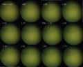 Thumbnail for version as of 15:14, 25 April 2011