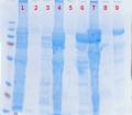 Thumbnail for version as of 12:52, 13 November 2010