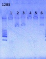 Thumbnail for version as of 14:35, 22 March 2013