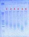 Thumbnail for version as of 16:03, 20 August 2012