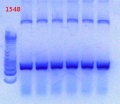 Thumbnail for version as of 14:38, 13 February 2013