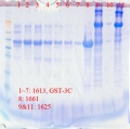 Thumbnail for version as of 11:31, 21 February 2013