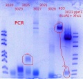 Thumbnail for version as of 16:38, 26 September 2017