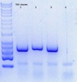 Thumbnail for version as of 13:57, 14 April 2015