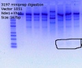 Thumbnail for version as of 14:03, 13 July 2018