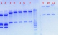 Thumbnail for version as of 14:36, 15 August 2011