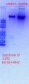Thumbnail for version as of 22:22, 9 March 2018