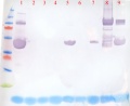 Thumbnail for version as of 18:07, 25 April 2011