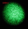 Thumbnail for version as of 15:32, 21 February 2012