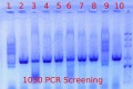 Thumbnail for version as of 10:06, 12 April 2012