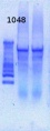 Thumbnail for version as of 15:13, 15 April 2013