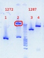 Thumbnail for version as of 10:05, 28 September 2012