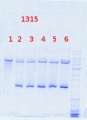 Thumbnail for version as of 13:10, 6 November 2013
