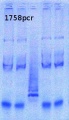 Thumbnail for version as of 12:02, 10 June 2013