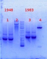 Thumbnail for version as of 13:43, 26 December 2013