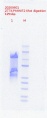 Thumbnail for version as of 17:40, 1 June 2020