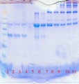 Thumbnail for version as of 20:07, 25 February 2013