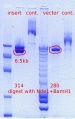 Thumbnail for version as of 15:32, 5 January 2012