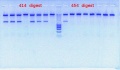 Thumbnail for version as of 09:43, 19 December 2011