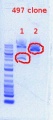 Thumbnail for version as of 15:43, 26 April 2012