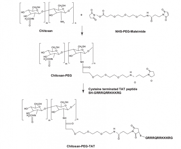 Chitosan PEG TAT.png