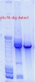 Thumbnail for version as of 14:51, 4 October 2011