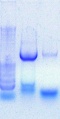 Thumbnail for version as of 16:43, 13 April 2011