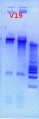 Thumbnail for version as of 13:46, 9 January 2013