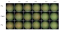 Thumbnail for version as of 13:13, 8 October 2014
