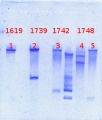 Thumbnail for version as of 14:08, 9 May 2013