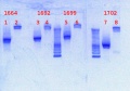 Thumbnail for version as of 14:58, 20 March 2013