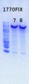 Thumbnail for version as of 16:44, 24 July 2013