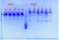Thumbnail for version as of 11:39, 28 January 2014