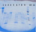 Thumbnail for version as of 17:07, 18 June 2014