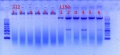 Thumbnail for version as of 16:20, 27 May 2012