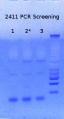 Thumbnail for version as of 13:42, 2 July 2015