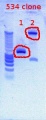 Thumbnail for version as of 14:44, 18 January 2012