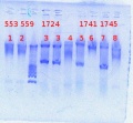 Thumbnail for version as of 12:51, 16 May 2013