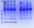 Thumbnail for version as of 13:15, 11 October 2018