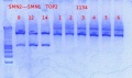 Thumbnail for version as of 12:01, 7 November 2012