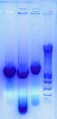 Thumbnail for version as of 09:38, 15 March 2011