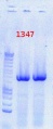 Thumbnail for version as of 14:53, 31 August 2012