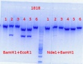 Thumbnail for version as of 15:47, 16 August 2013