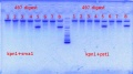 Thumbnail for version as of 11:21, 7 May 2012